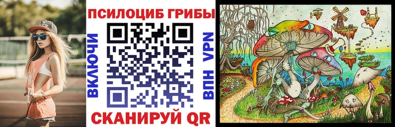 Псилоцибиновые грибы мухоморы  hydra   Салаир 